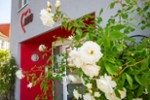 Etagenwohnung Grimmen - 1 Zimmer, 31 m&sup2;, 325&euro; | Angebot:26265847