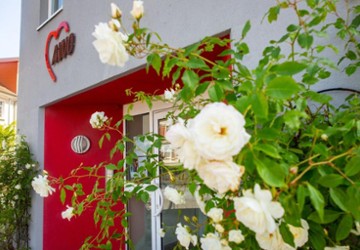 Wohnung Grimmen - 1 Zimmer, 31 m&sup2;, 325&euro; | Angebot:26265847